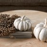 Decoratie Pretty Pumpkin S